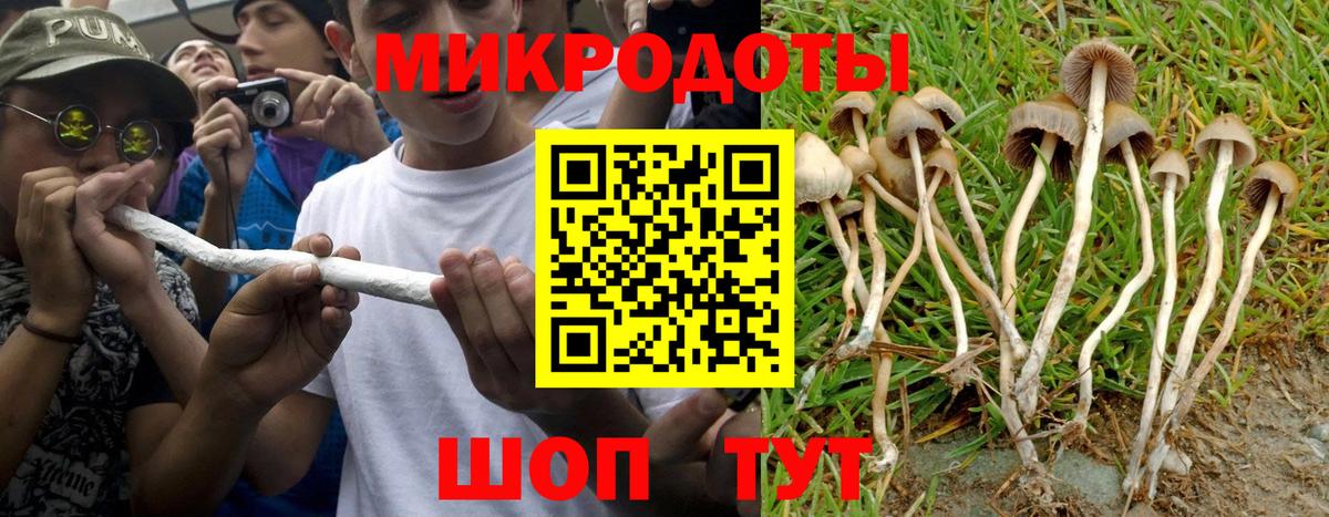 Галлюциногенные грибы мицелий Уссурийск